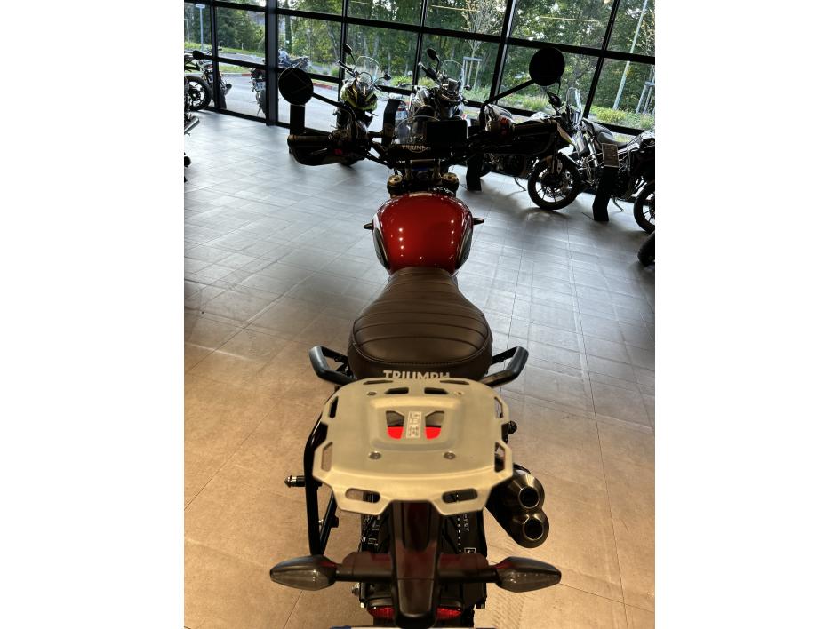 TRIUMPH Scrambler 400 X - 1ERE MAIN - TRES NOMBREUSES OPTIONS - 06/2025